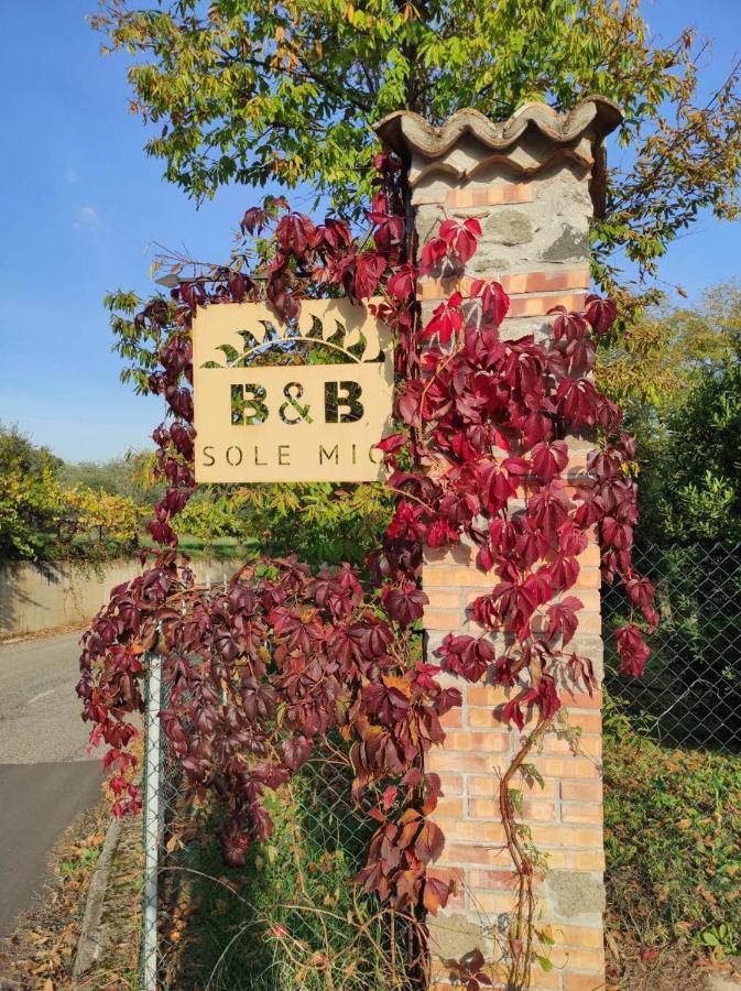 B&B Sole Mio เวลเลตริ ภายนอก รูปภาพ